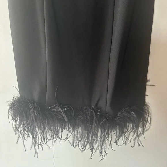 Bebe Sleeveless Feathered-Tail Cocktail Dress Size 10 - Picture 6 of 12